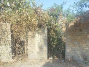 WhatsApp Image 2025-12-24 at 18.34.50