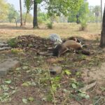 5efba773-800d-42f2-b361-72cbbc2022a8-1536x864