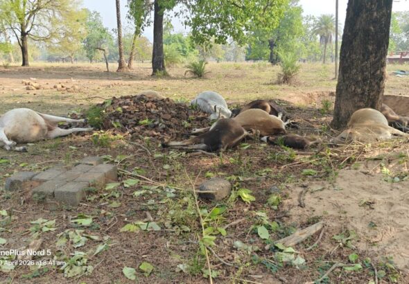 5efba773-800d-42f2-b361-72cbbc2022a8-1536x864