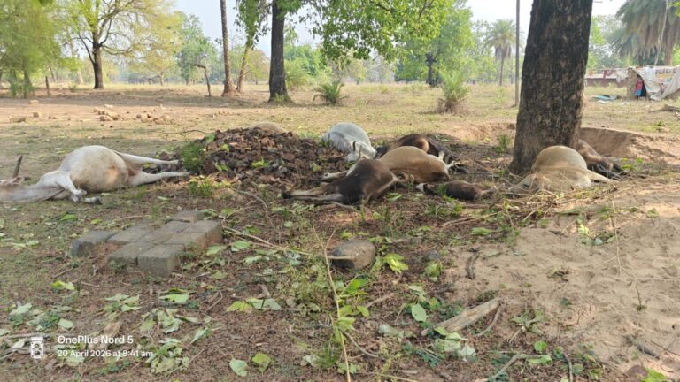 5efba773-800d-42f2-b361-72cbbc2022a8-1536x864